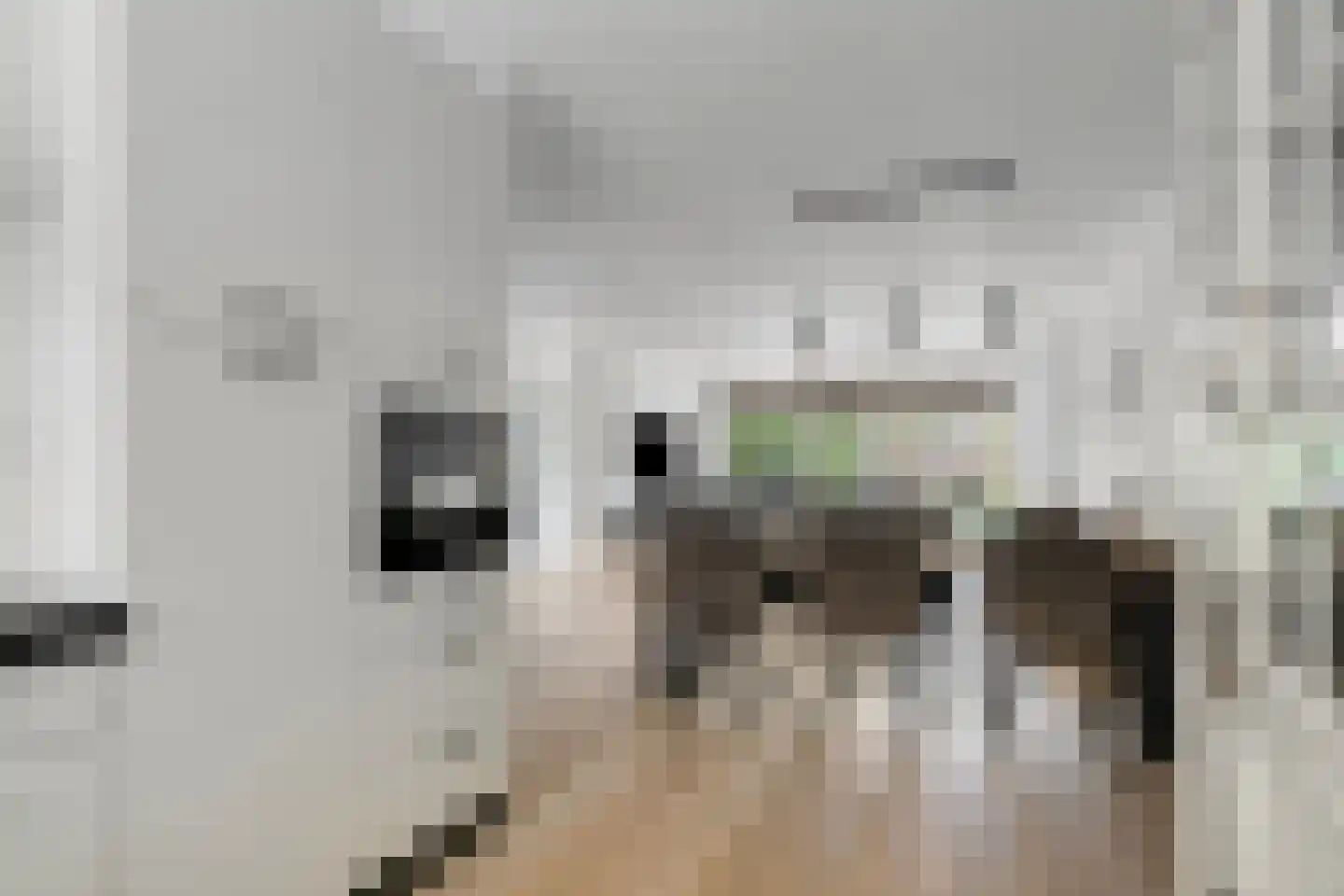 Ruige Velddreef 82 Leusden thumbnail 13