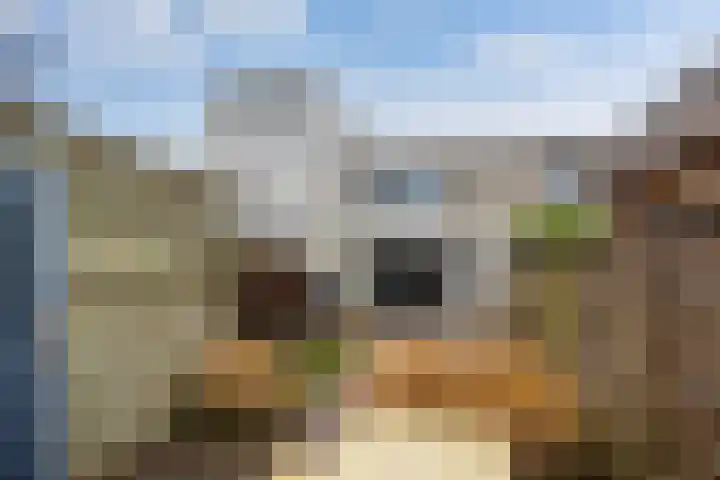 Ruige Velddreef 95 Leusden thumbnail 18