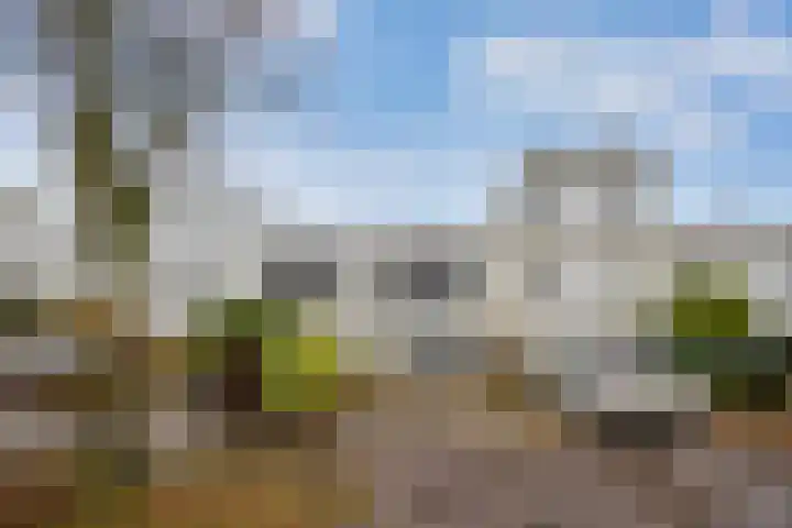Ruige Velddreef 95 Leusden thumbnail 19