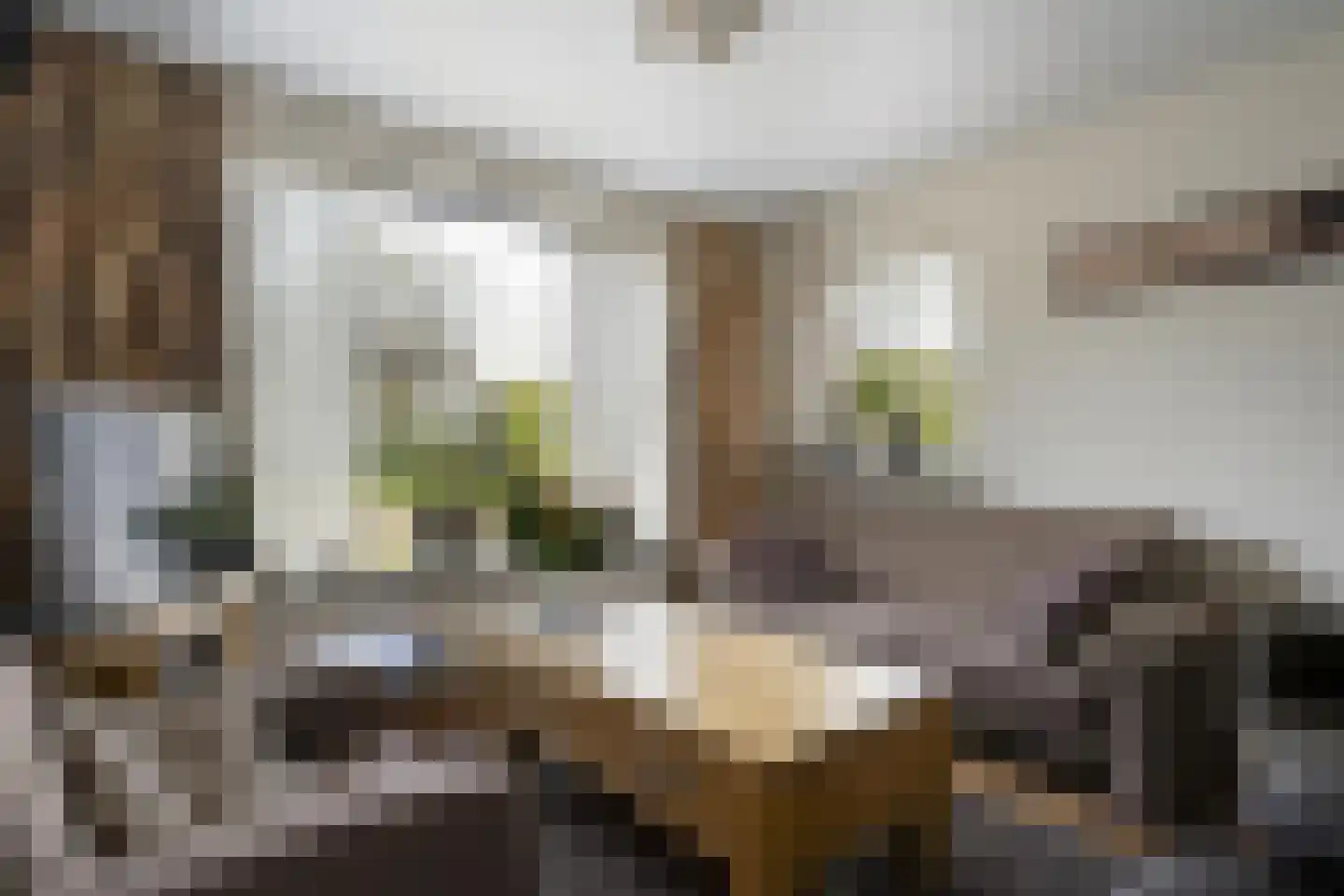 Ruigedoornstraat 10 Dalfsen thumbnail 10