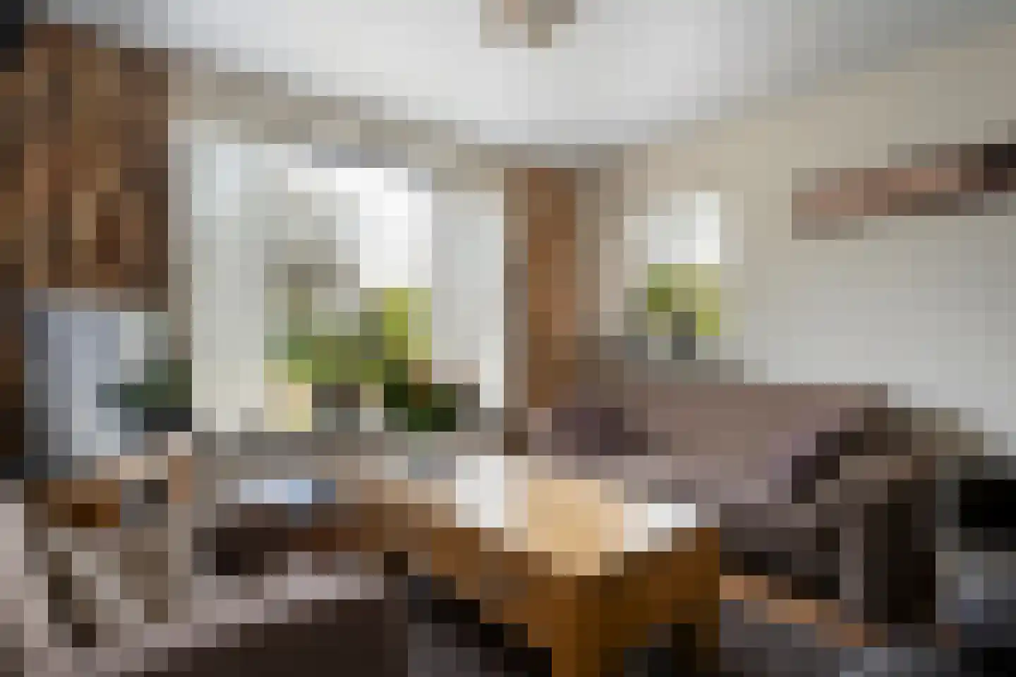 Ruigedoornstraat 10 Dalfsen thumbnail 10