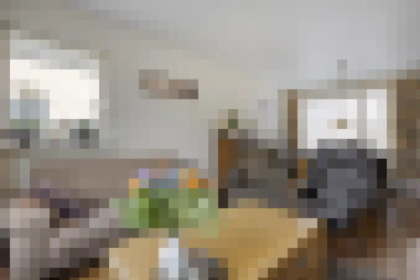 Ruigedoornstraat 10 Dalfsen thumbnail 11
