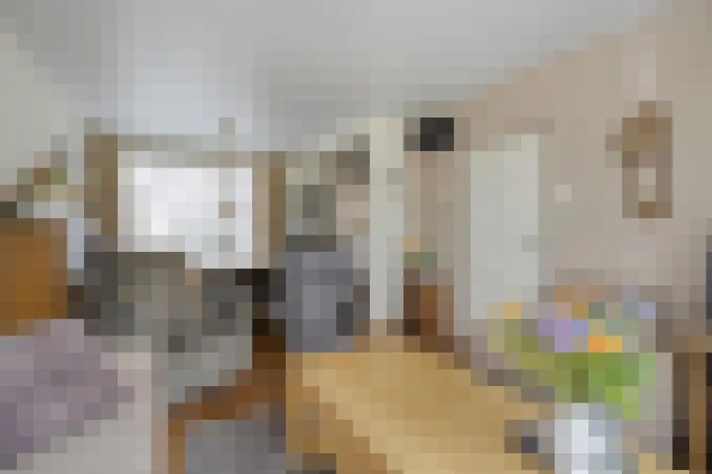 Ruigedoornstraat 10 Dalfsen thumbnail 12