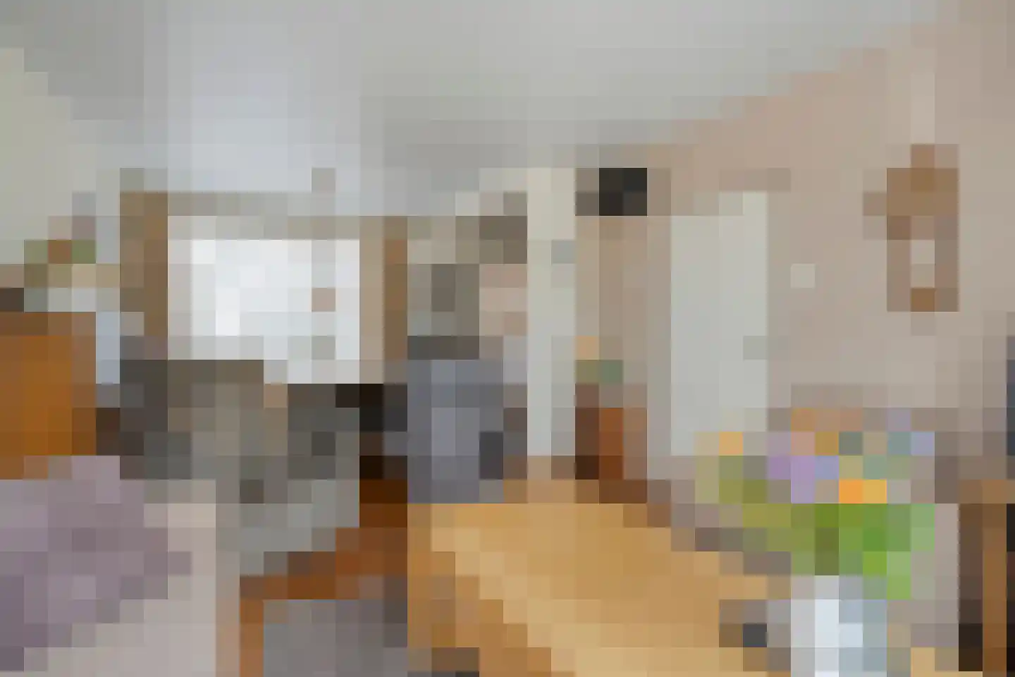 Ruigedoornstraat 10 Dalfsen thumbnail 12