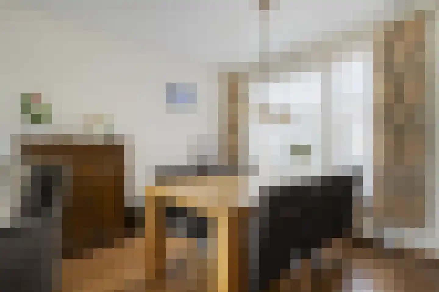 Ruigedoornstraat 10 Dalfsen thumbnail 13