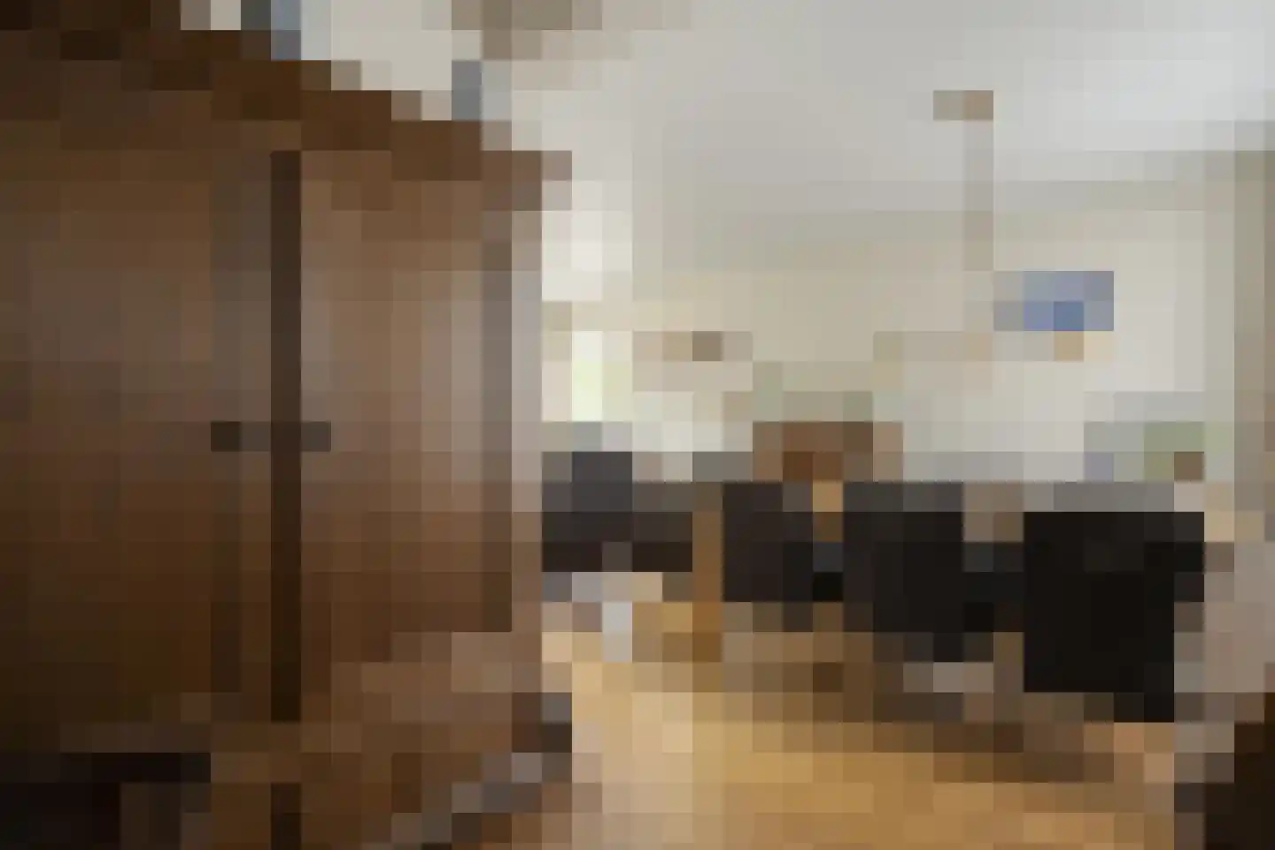 Ruigedoornstraat 10 Dalfsen thumbnail 15