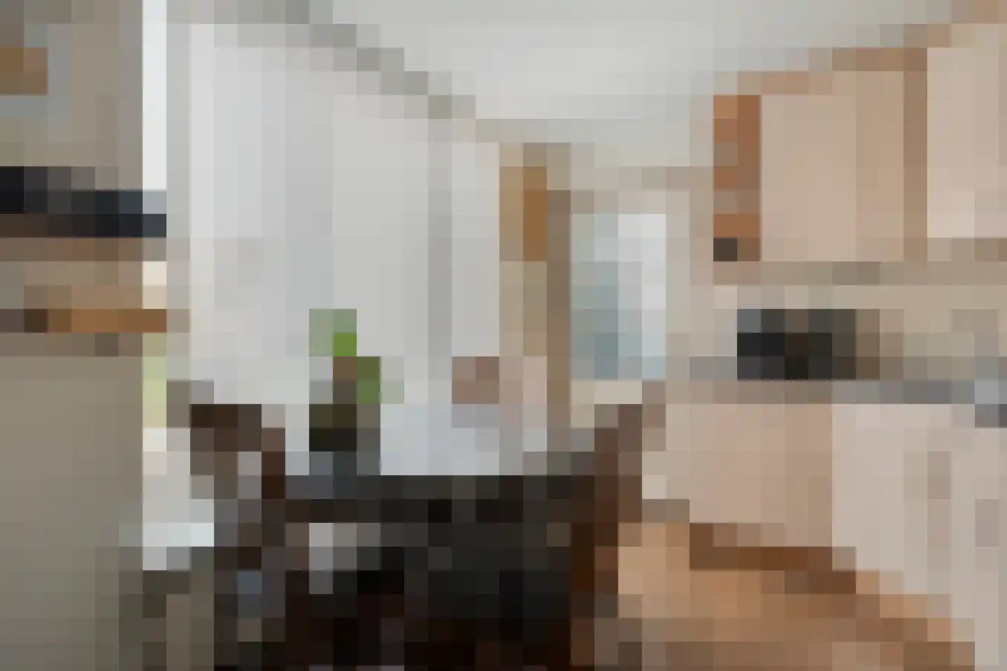 Ruigedoornstraat 10 Dalfsen thumbnail 16