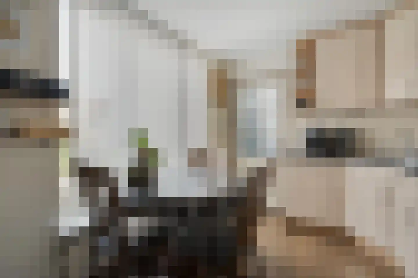 Ruigedoornstraat 10 Dalfsen thumbnail 16