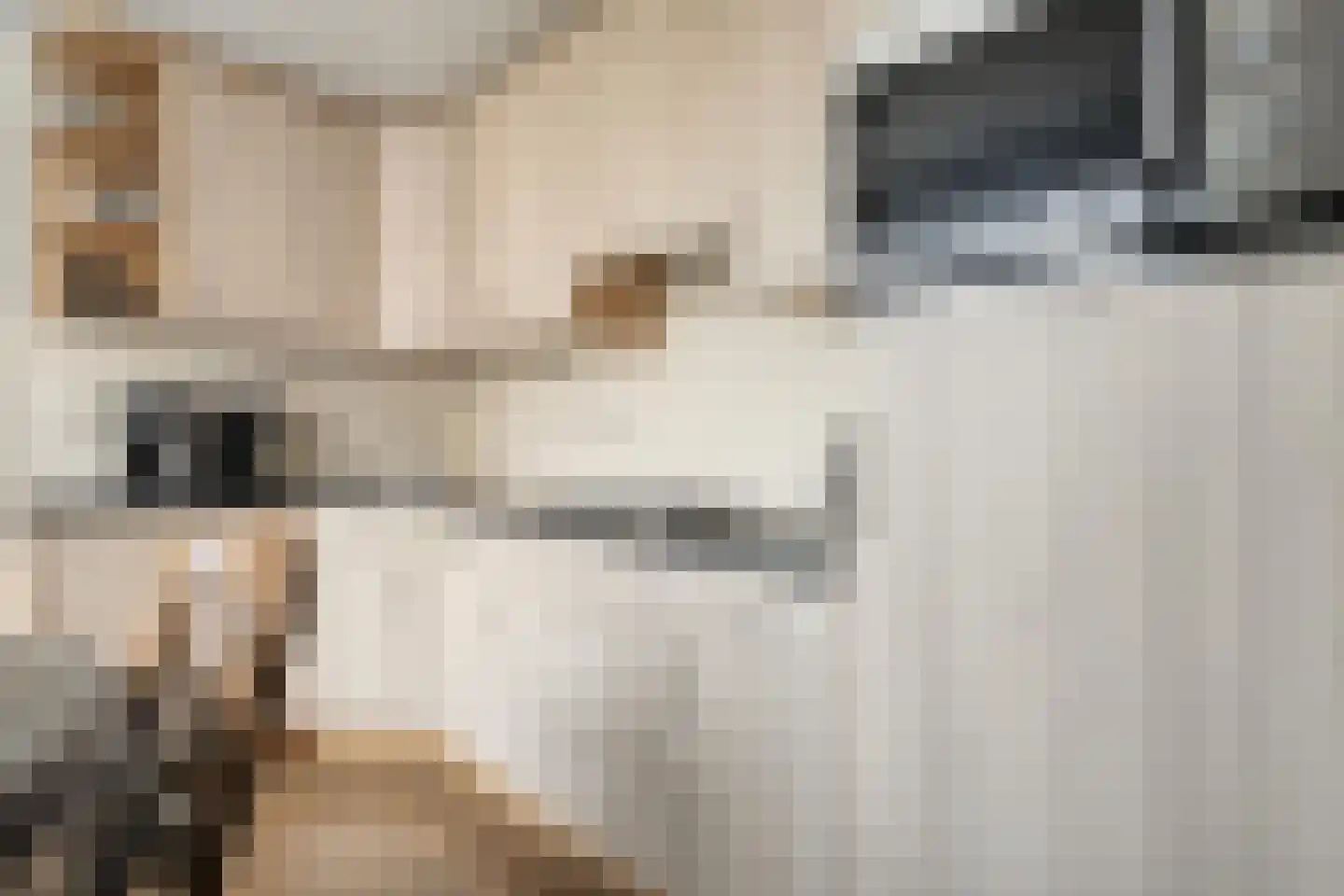 Ruigedoornstraat 10 Dalfsen thumbnail 17