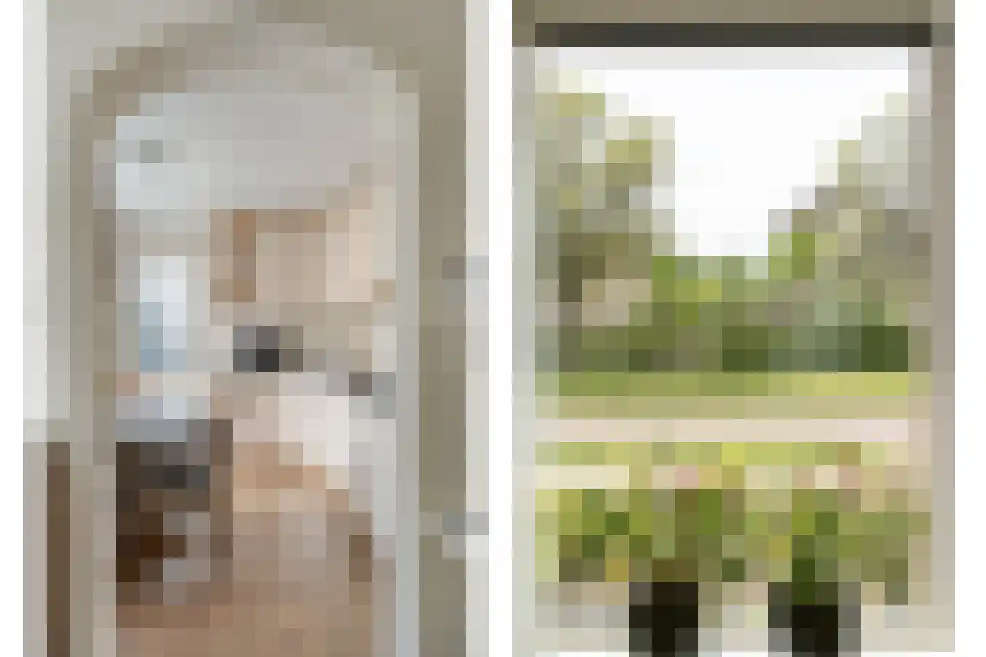 Ruigedoornstraat 10 Dalfsen thumbnail 18
