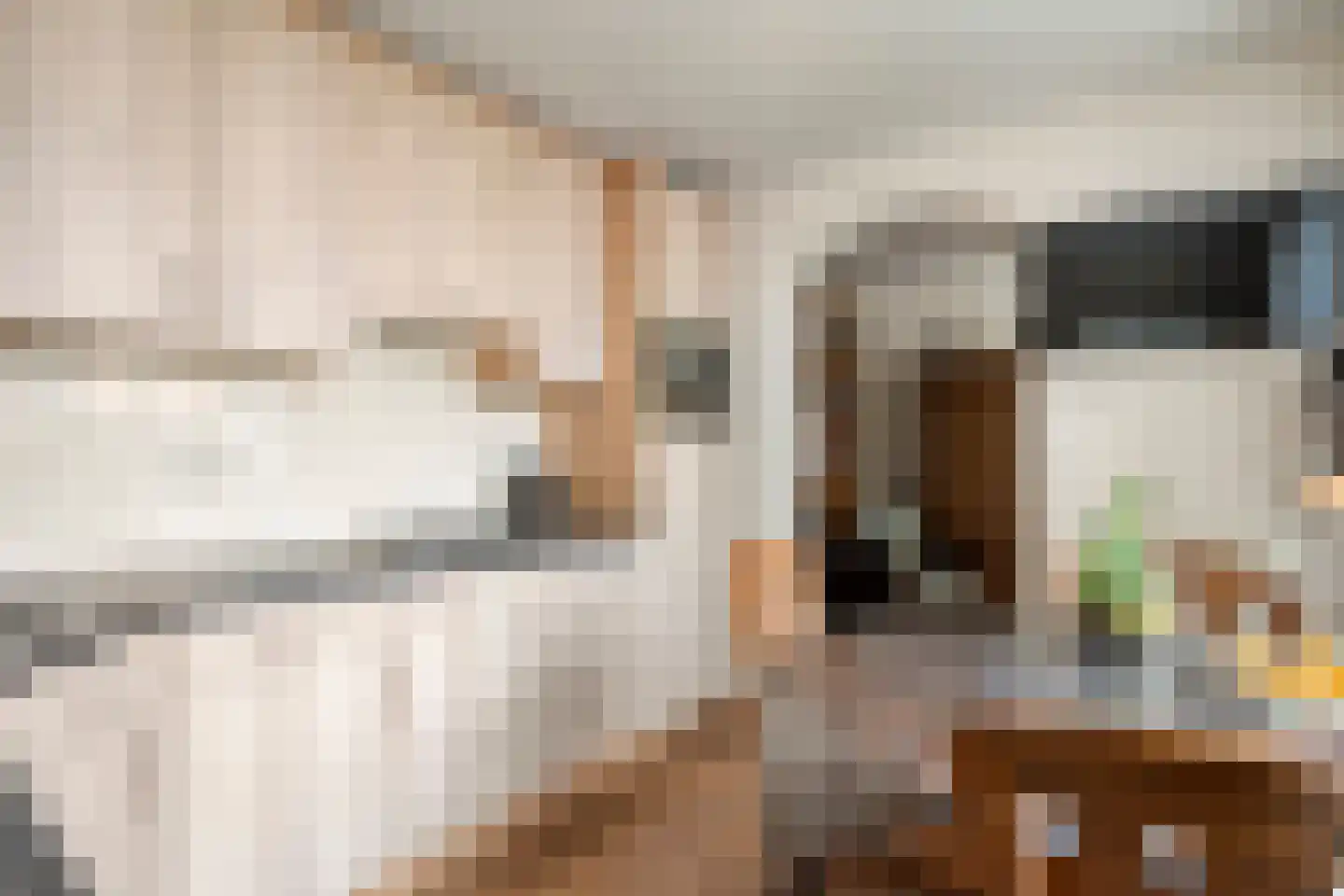 Ruigedoornstraat 10 Dalfsen thumbnail 19