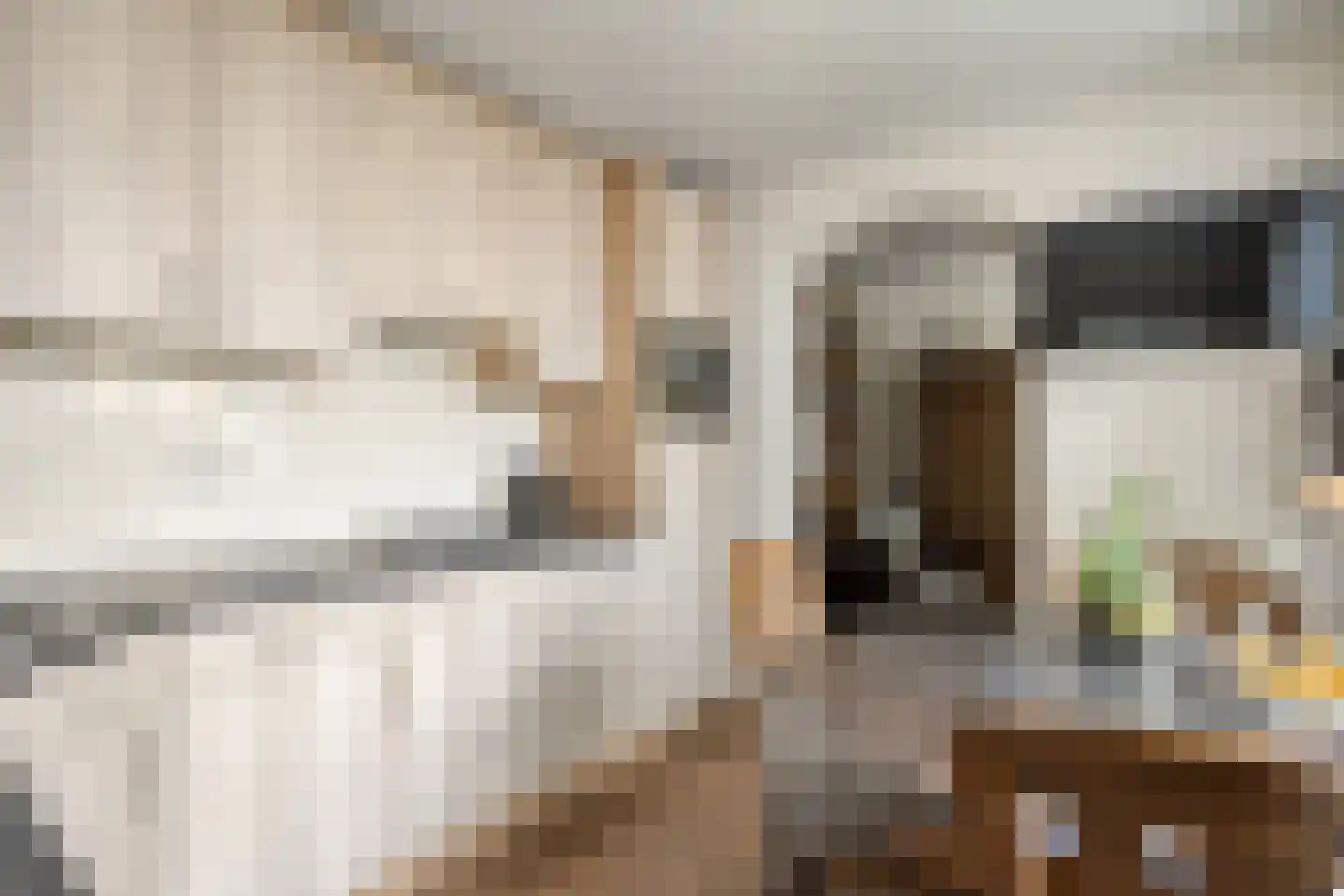 Ruigedoornstraat 10 Dalfsen thumbnail 19