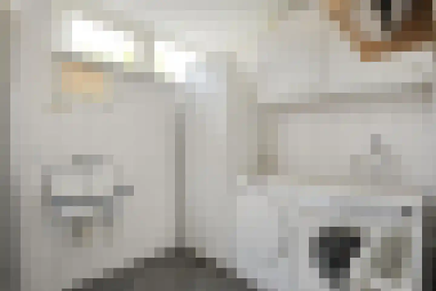 Ruigedoornstraat 10 Dalfsen thumbnail 20