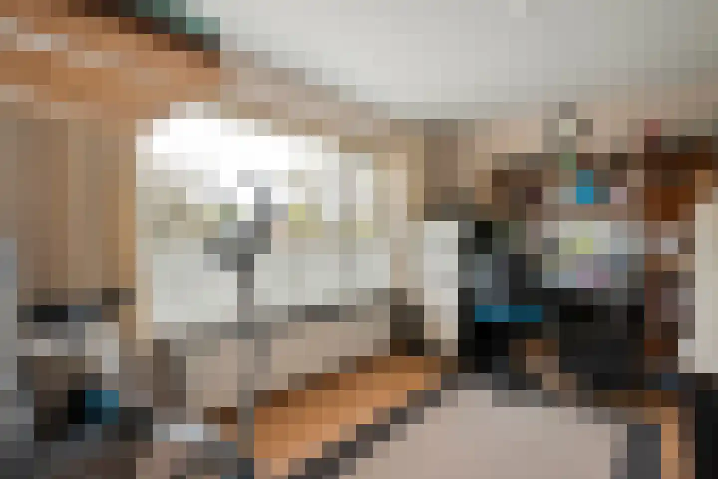 Ruigedoornstraat 10 Dalfsen thumbnail 30