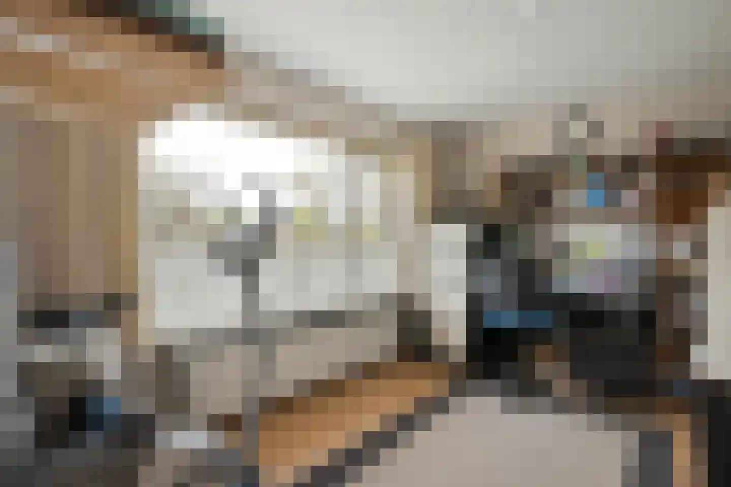 Ruigedoornstraat 10 Dalfsen thumbnail 30