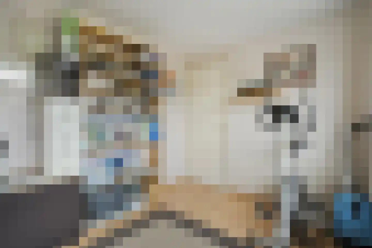Ruigedoornstraat 10 Dalfsen thumbnail 31