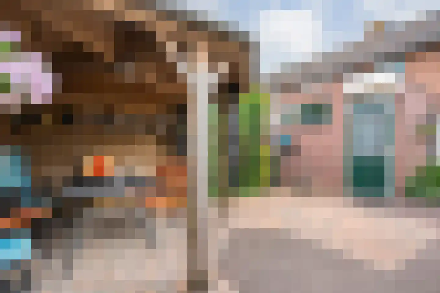 Ruigedoornstraat 10 Dalfsen thumbnail 36