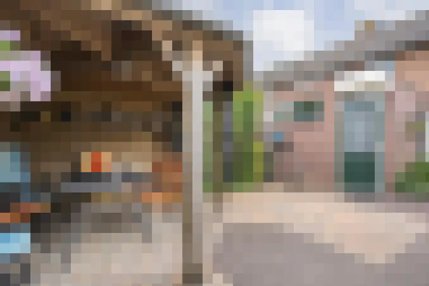 Ruigedoornstraat 10 Dalfsen thumbnail 36