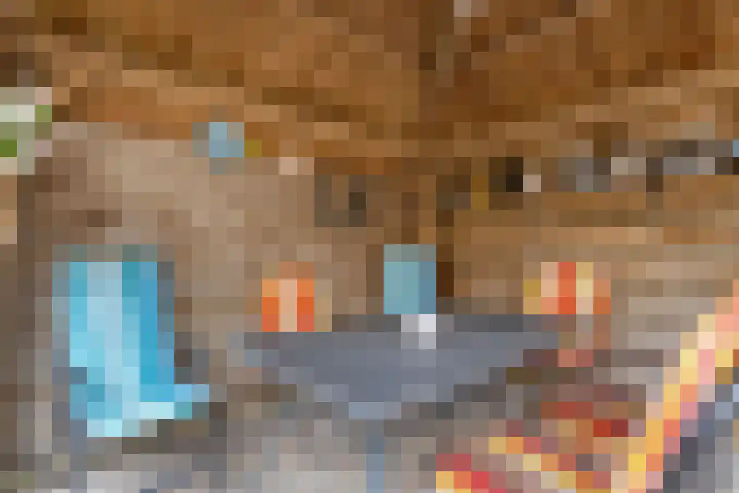 Ruigedoornstraat 10 Dalfsen thumbnail 37