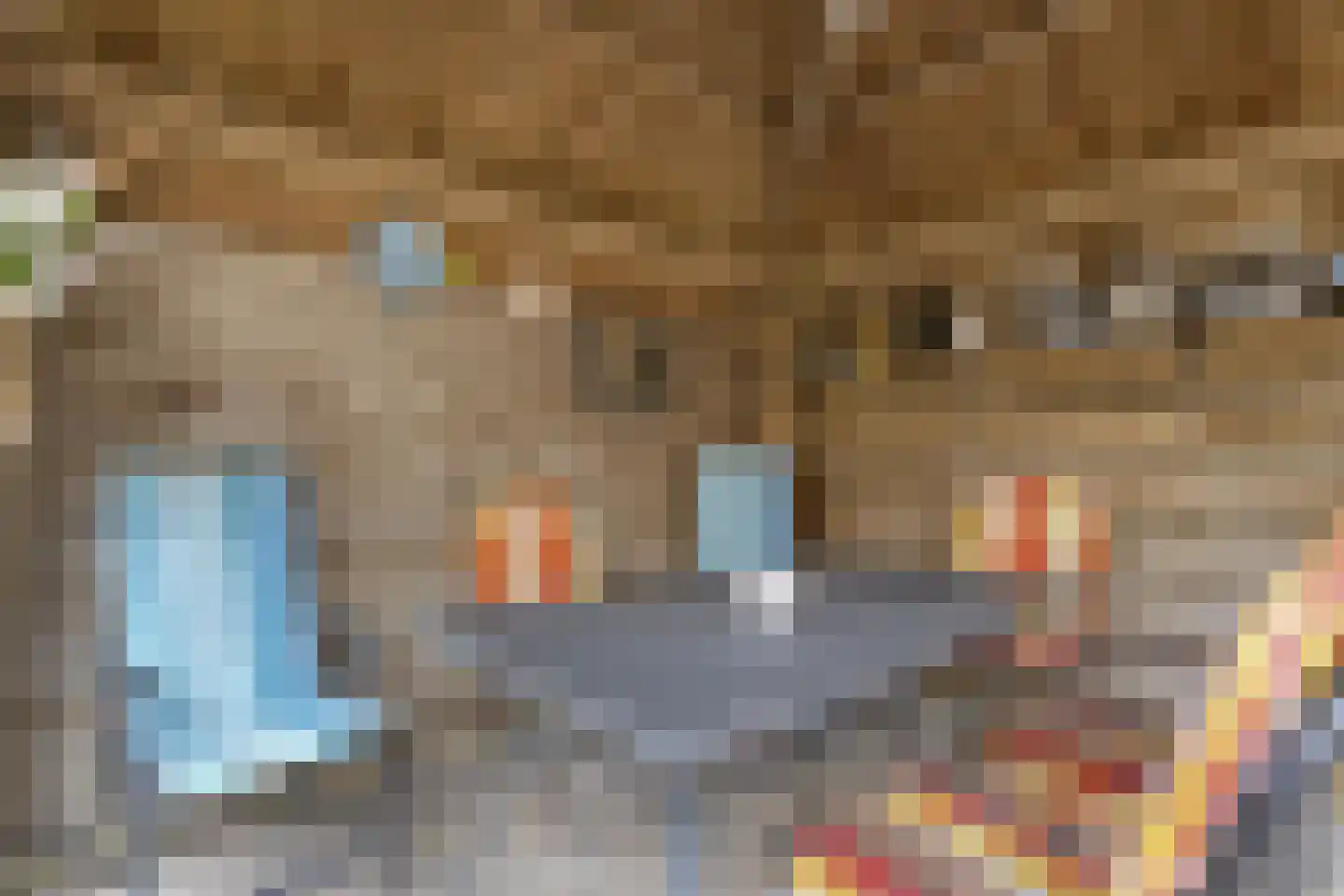 Ruigedoornstraat 10 Dalfsen thumbnail 37