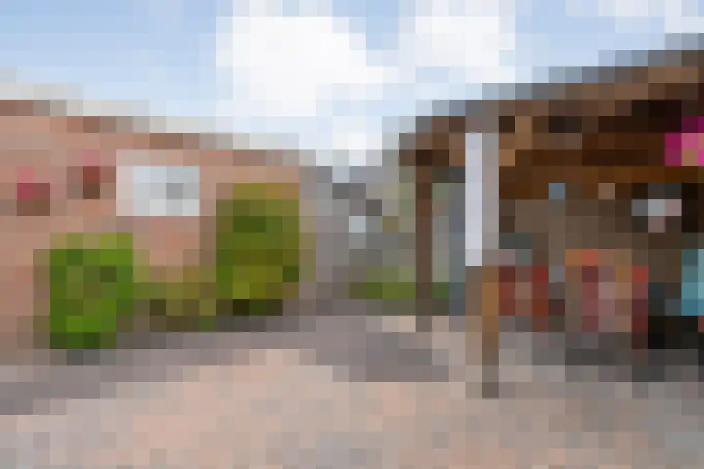 Ruigedoornstraat 10 Dalfsen thumbnail 38