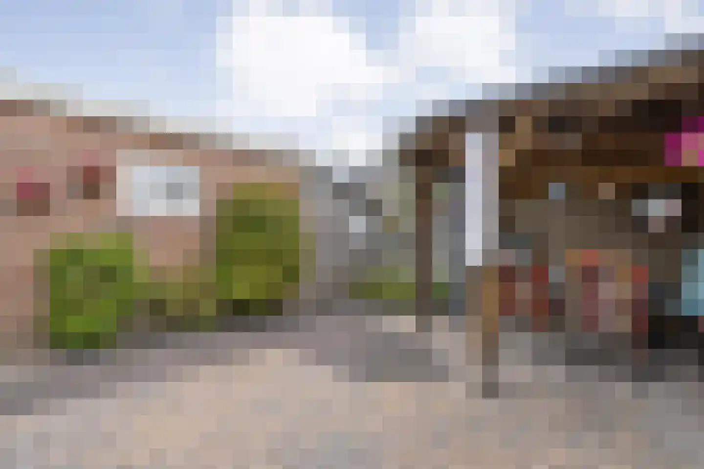 Ruigedoornstraat 10 Dalfsen thumbnail 38