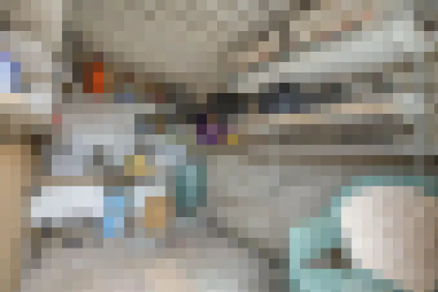 Ruigedoornstraat 10 Dalfsen thumbnail 39