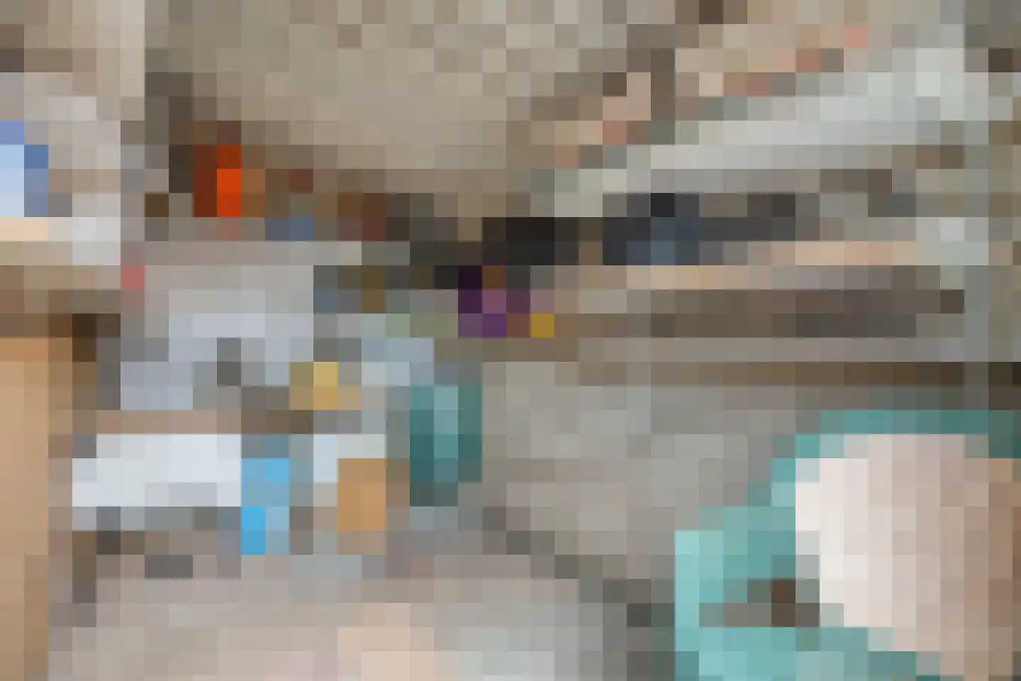 Ruigedoornstraat 10 Dalfsen thumbnail 39
