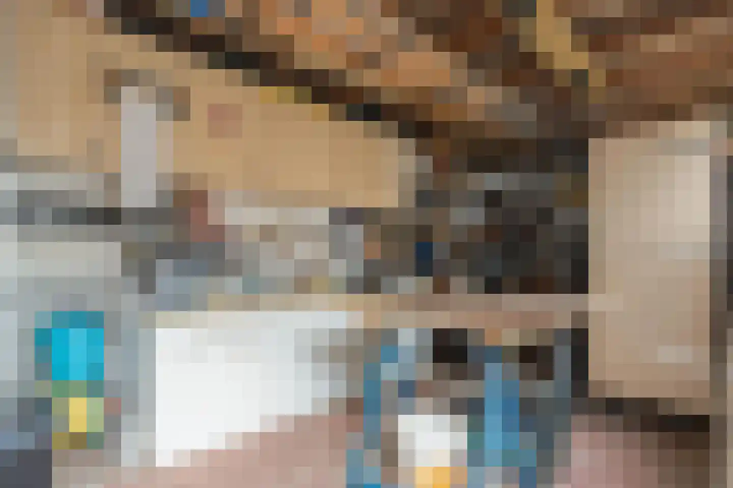 Ruigedoornstraat 10 Dalfsen thumbnail 40