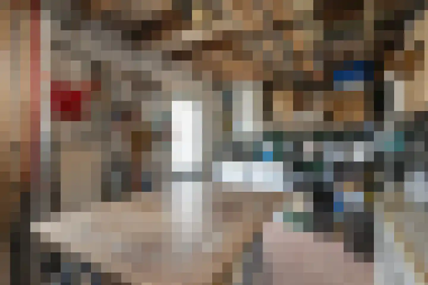Ruigedoornstraat 10 Dalfsen thumbnail 41
