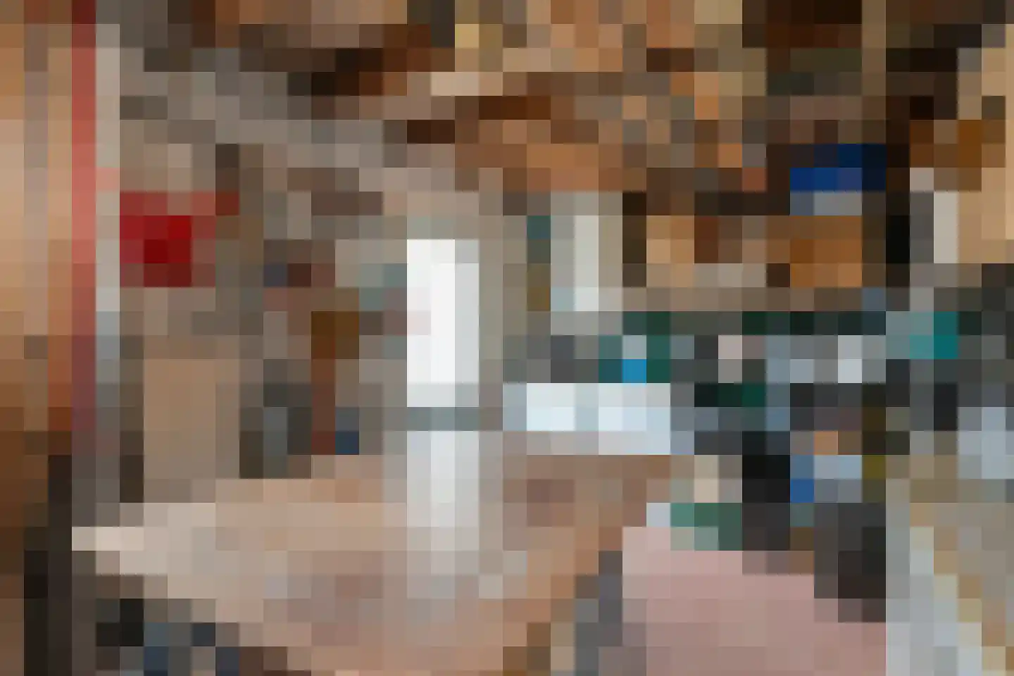 Ruigedoornstraat 10 Dalfsen thumbnail 41