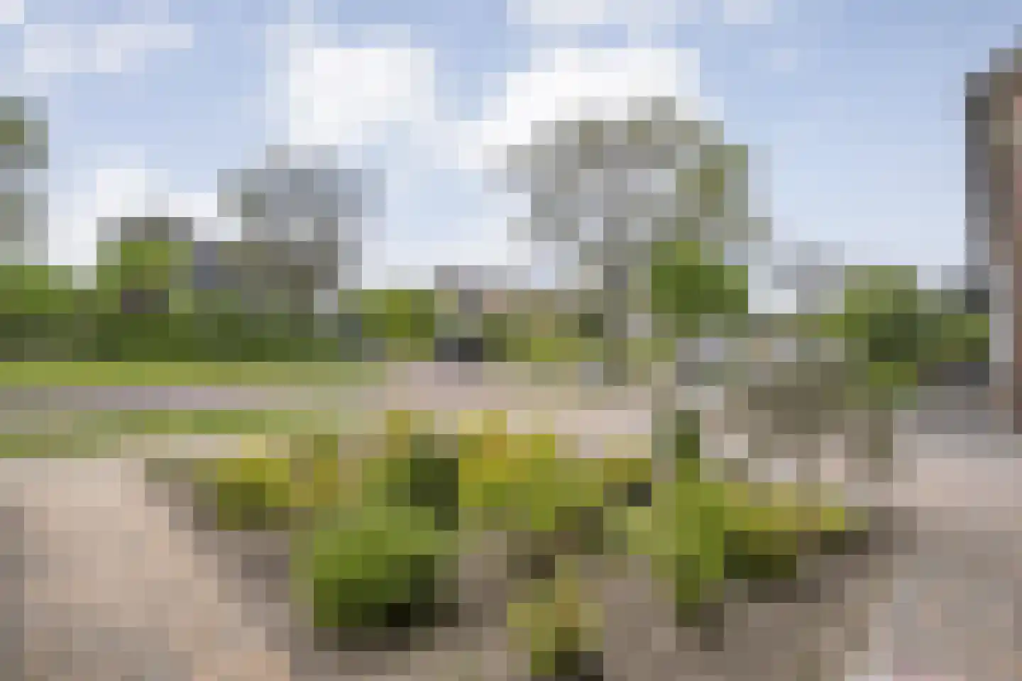 Ruigedoornstraat 10 Dalfsen thumbnail 5