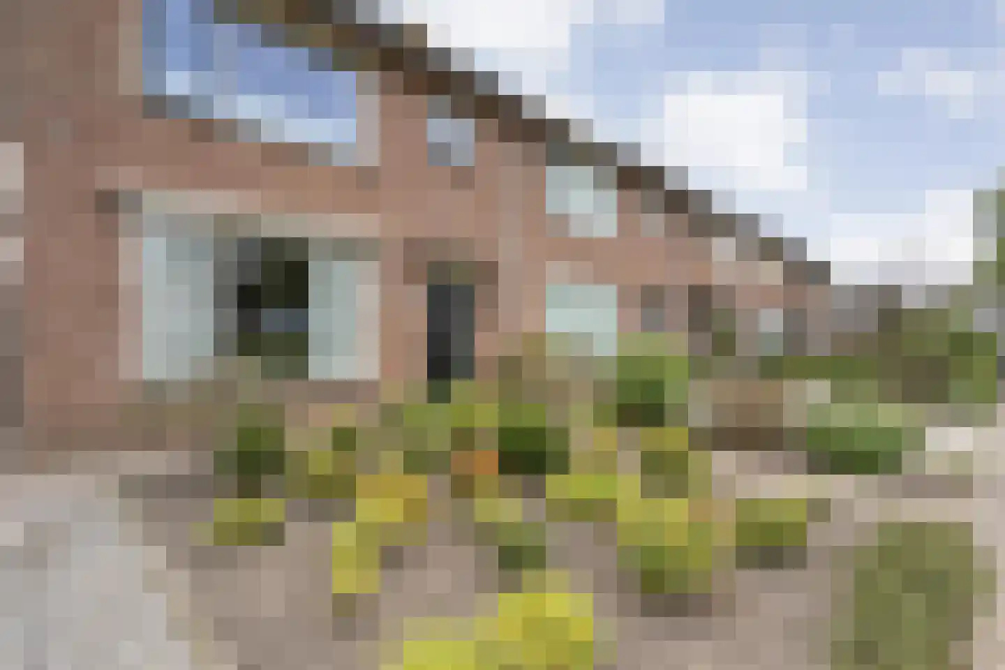 Ruigedoornstraat 10 Dalfsen thumbnail 6