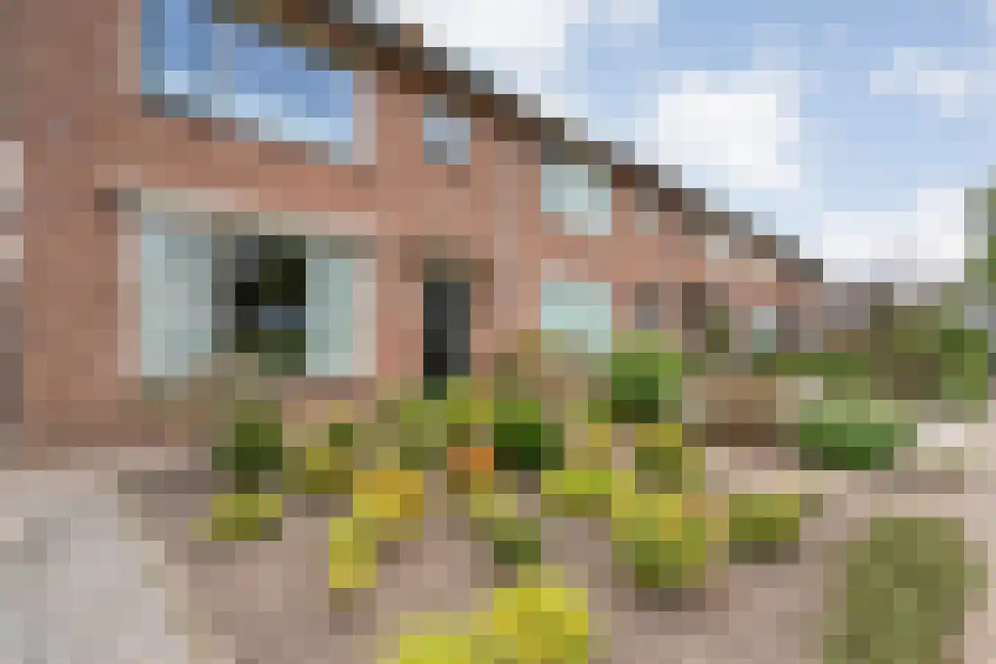 Ruigedoornstraat 10 Dalfsen thumbnail 6
