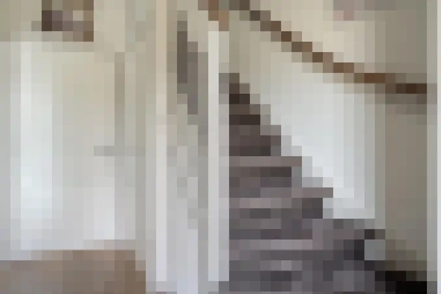 Ruigedoornstraat 10 Dalfsen thumbnail 8