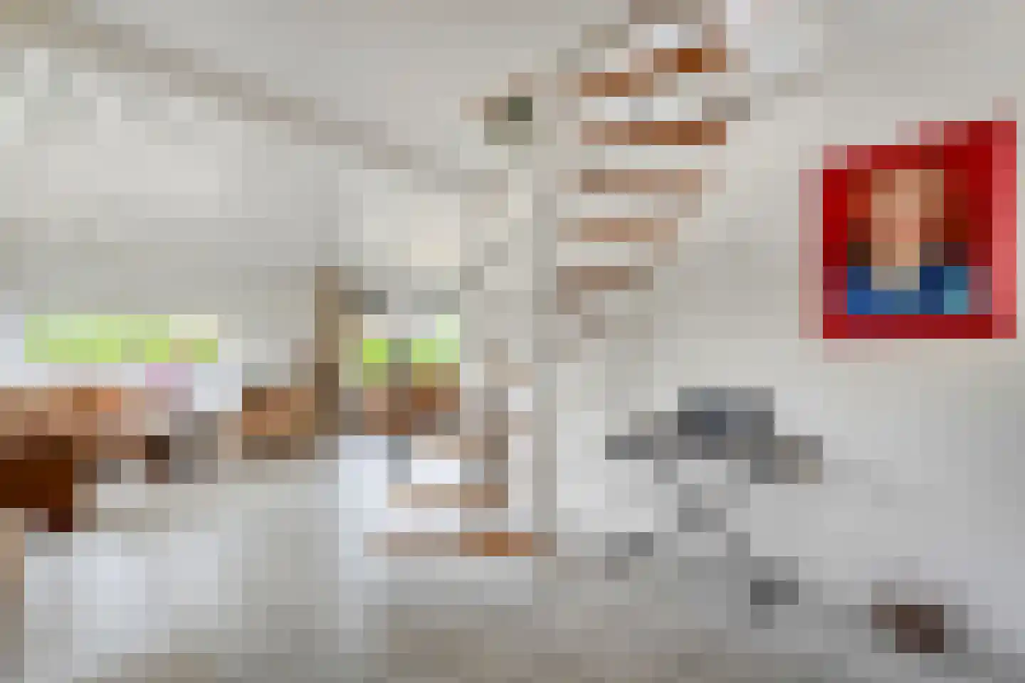Ruigedoornstraat 17 Dalfsen thumbnail 10
