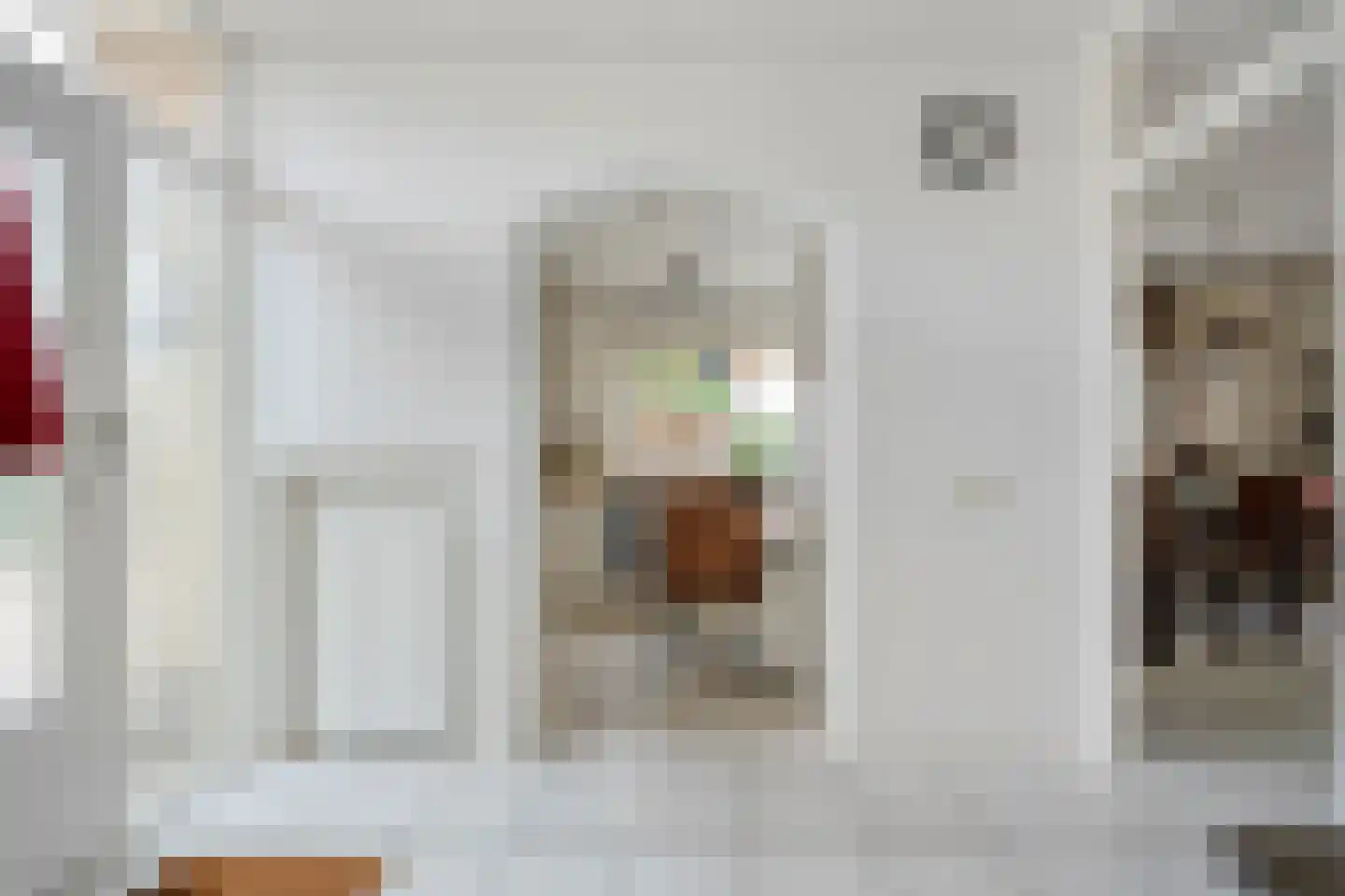 Ruigedoornstraat 17 Dalfsen thumbnail 13
