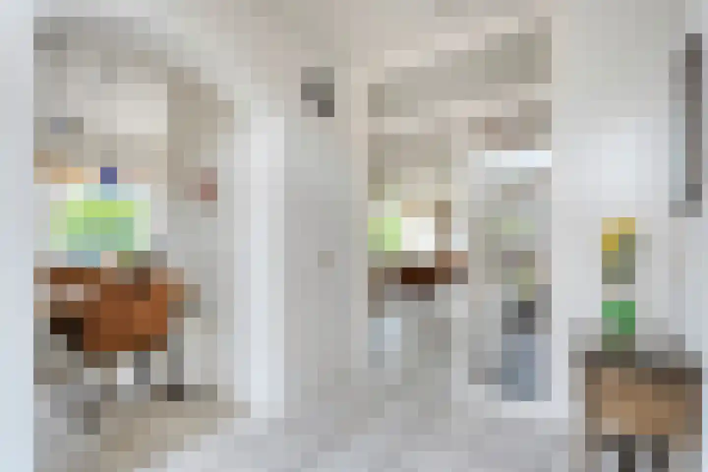 Ruigedoornstraat 17 Dalfsen thumbnail 14
