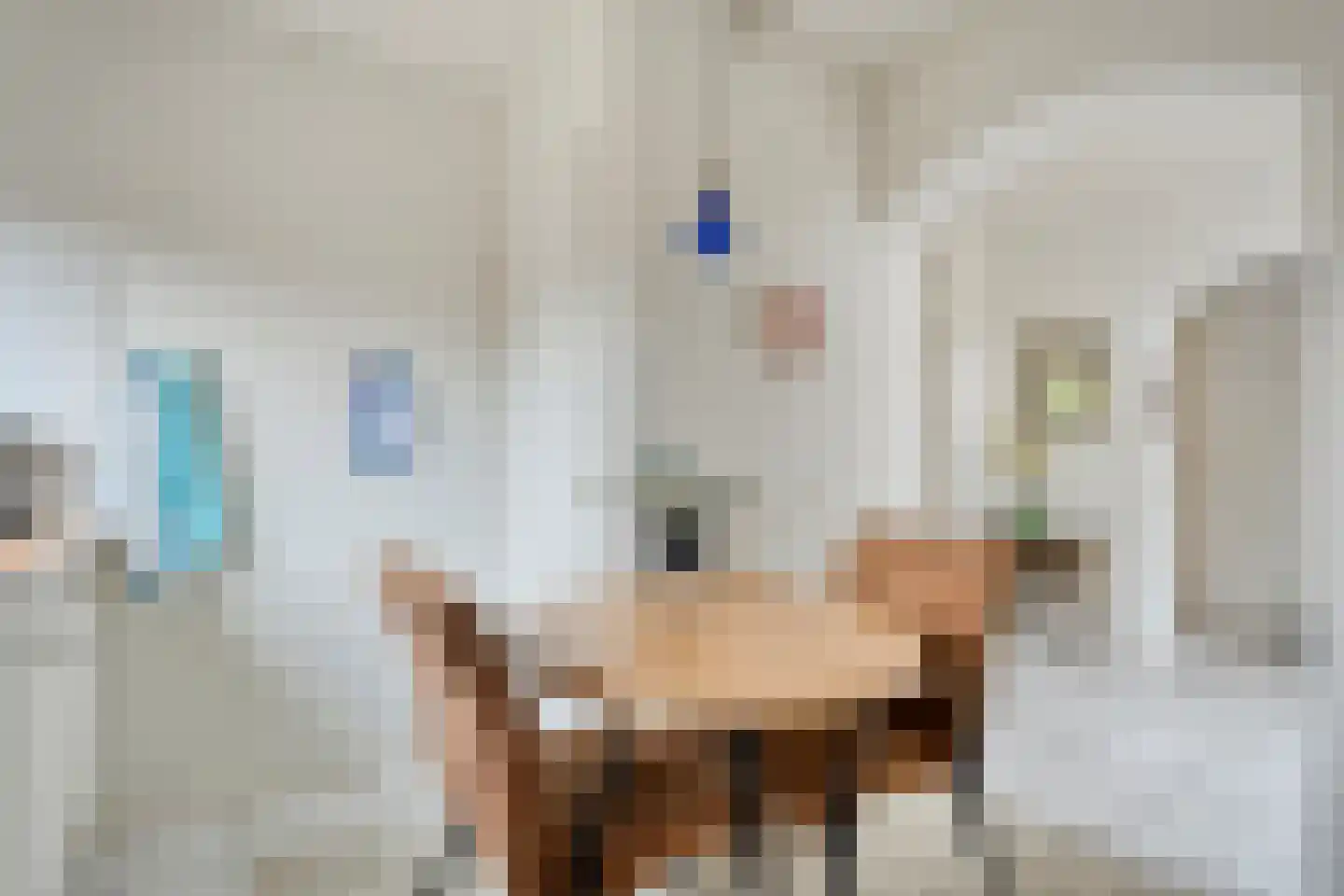 Ruigedoornstraat 17 Dalfsen thumbnail 17