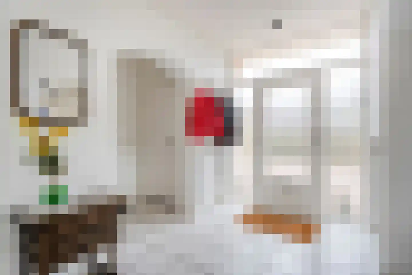 Ruigedoornstraat 17 Dalfsen thumbnail 18