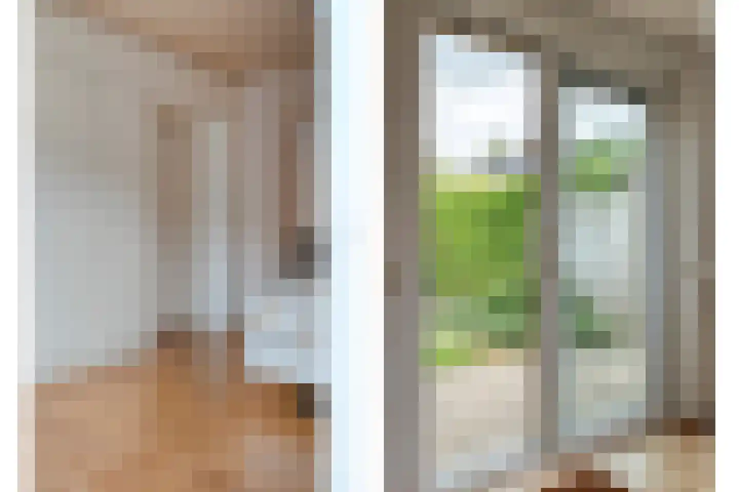 Ruigedoornstraat 17 Dalfsen thumbnail 22