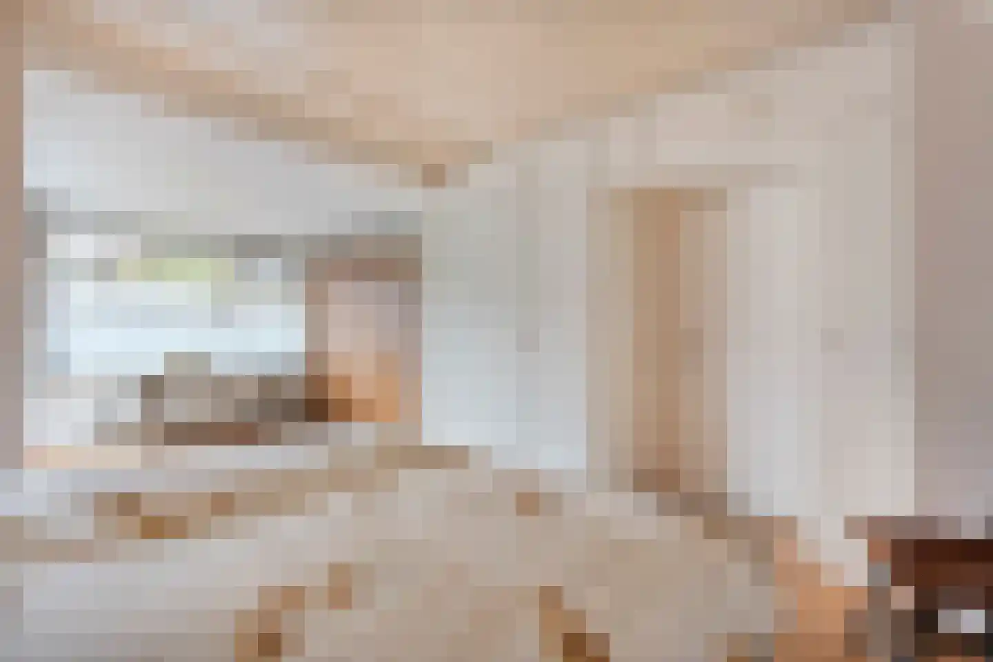 Ruigedoornstraat 17 Dalfsen thumbnail 23