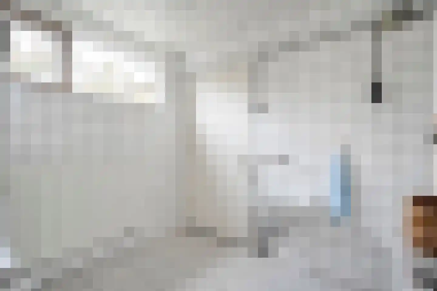 Ruigedoornstraat 17 Dalfsen thumbnail 27