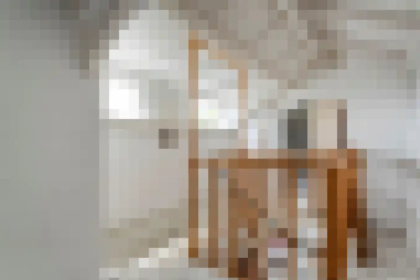 Ruigedoornstraat 17 Dalfsen thumbnail 28