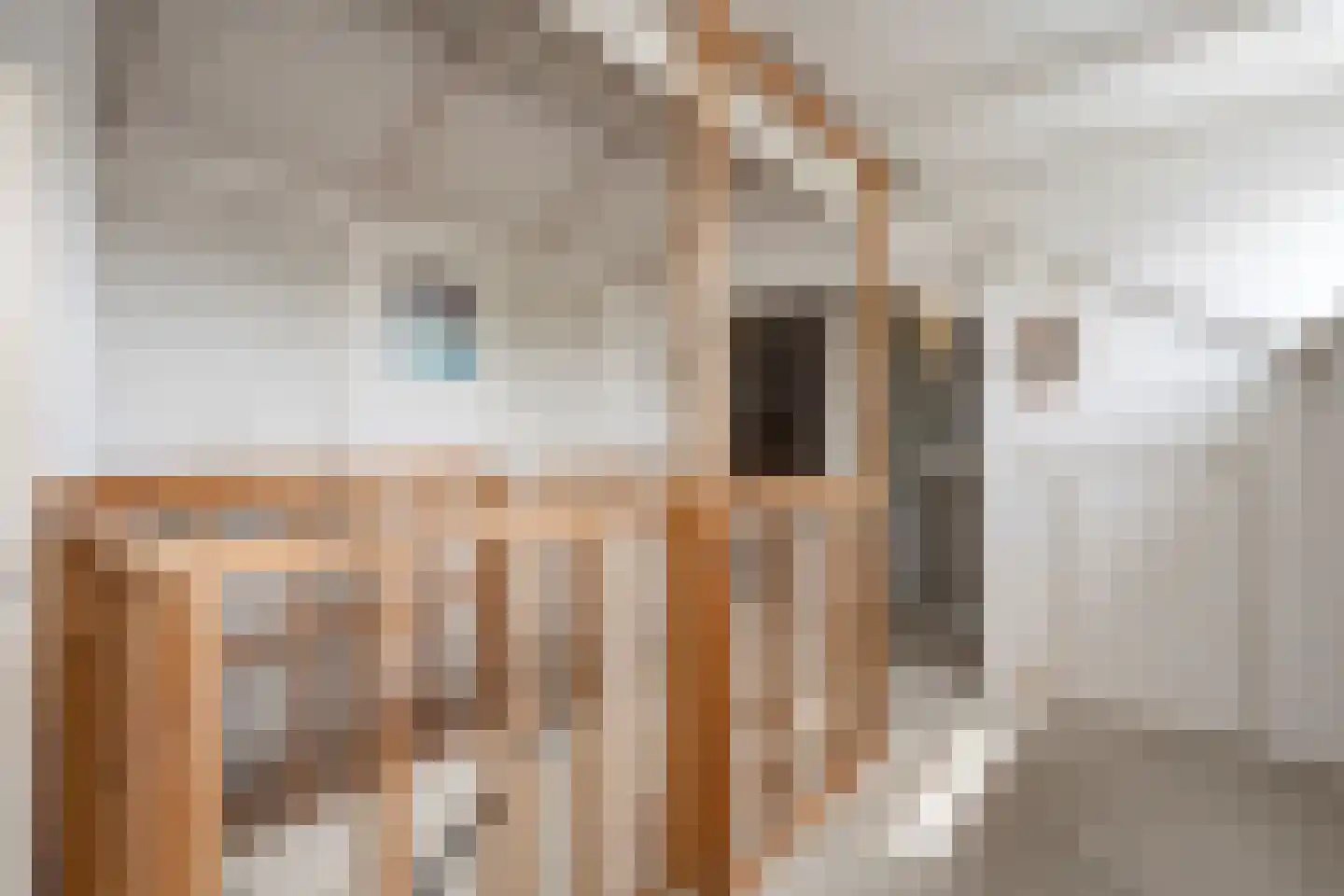 Ruigedoornstraat 17 Dalfsen thumbnail 29