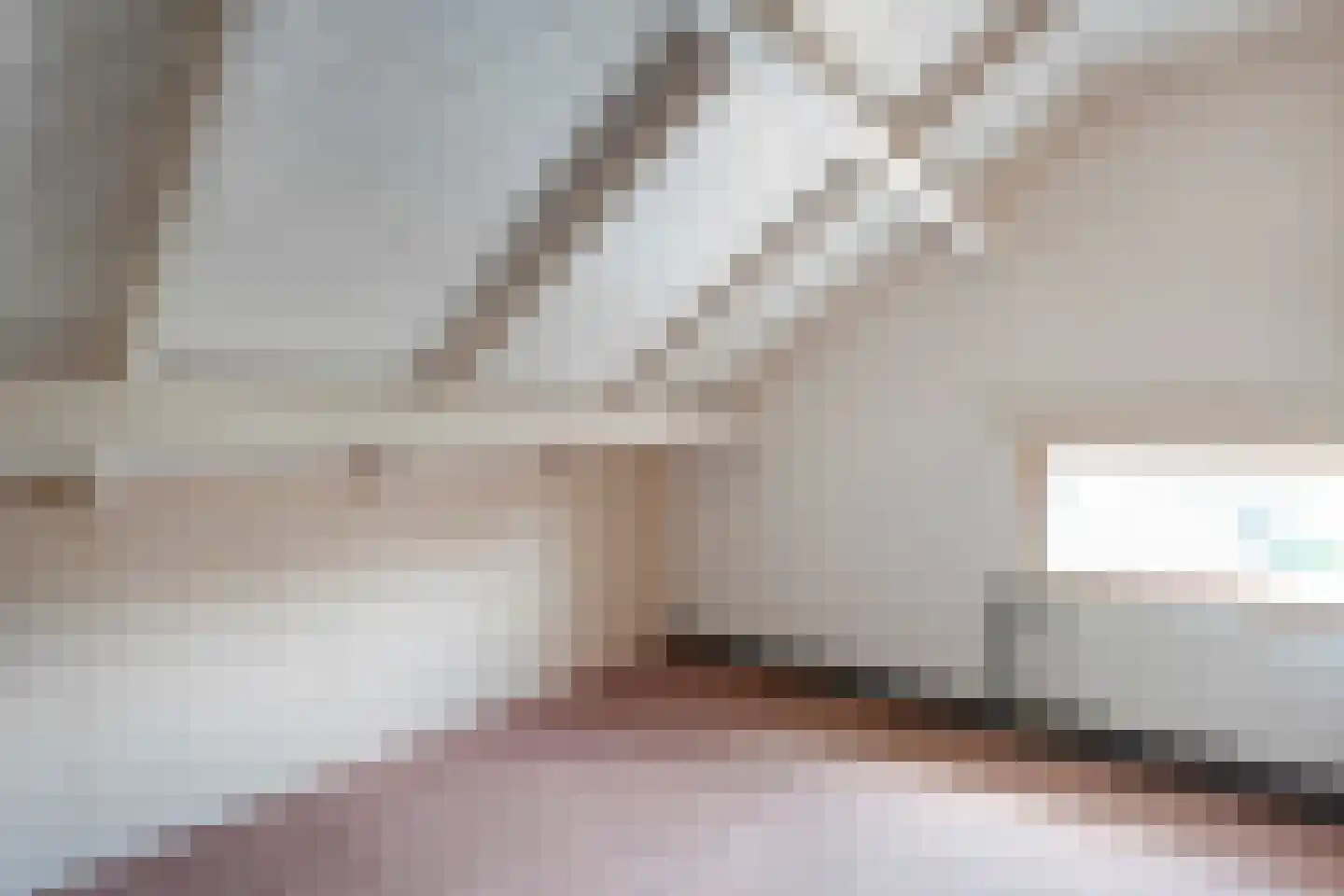 Ruigedoornstraat 17 Dalfsen thumbnail 32