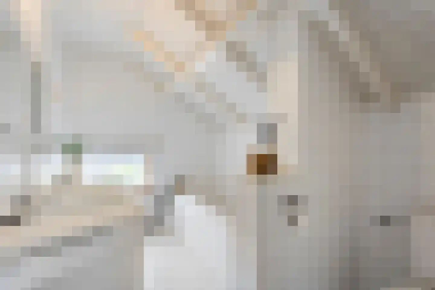 Ruigedoornstraat 17 Dalfsen thumbnail 34