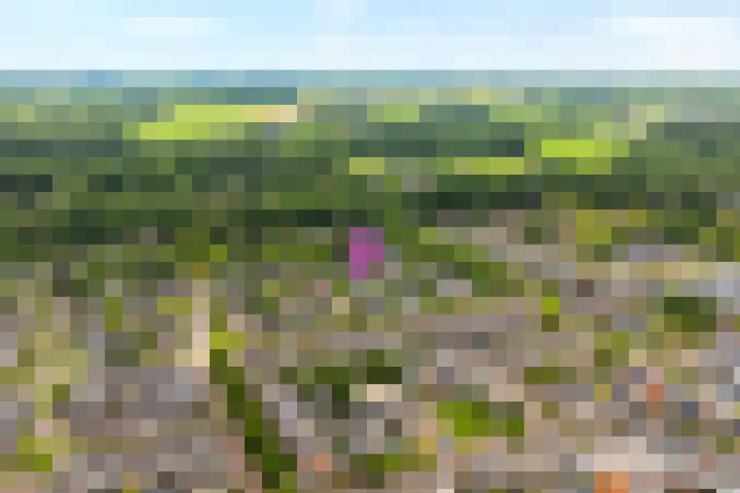 Ruigedoornstraat 17 Dalfsen thumbnail 44