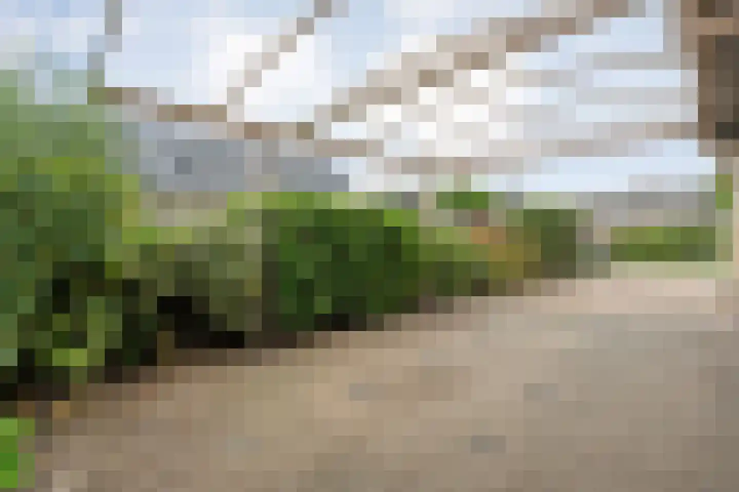 Ruigedoornstraat 17 Dalfsen thumbnail 47