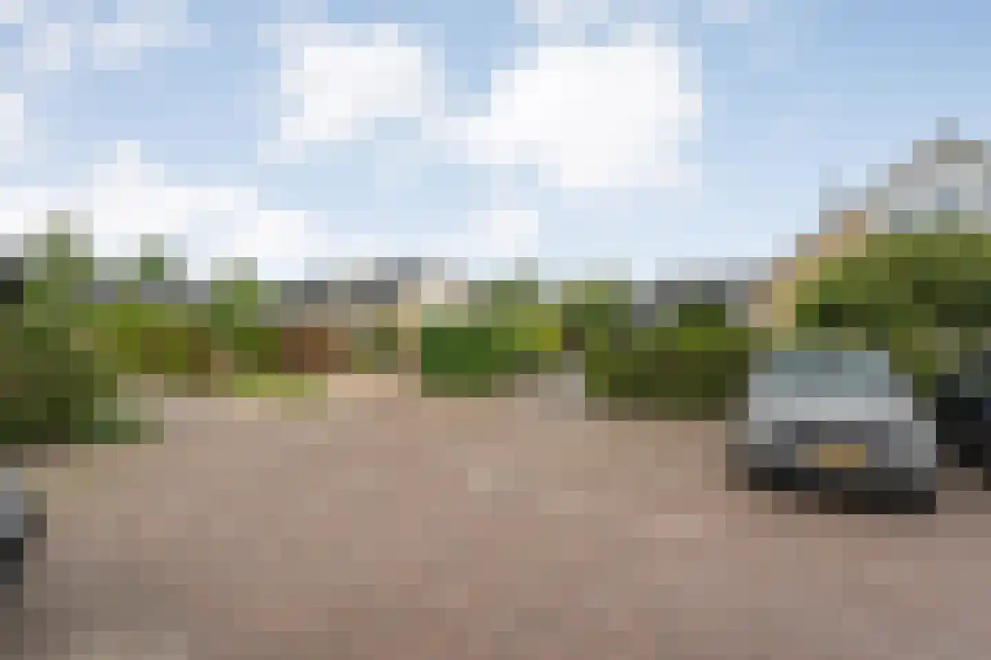 Ruigedoornstraat 17 Dalfsen thumbnail 48